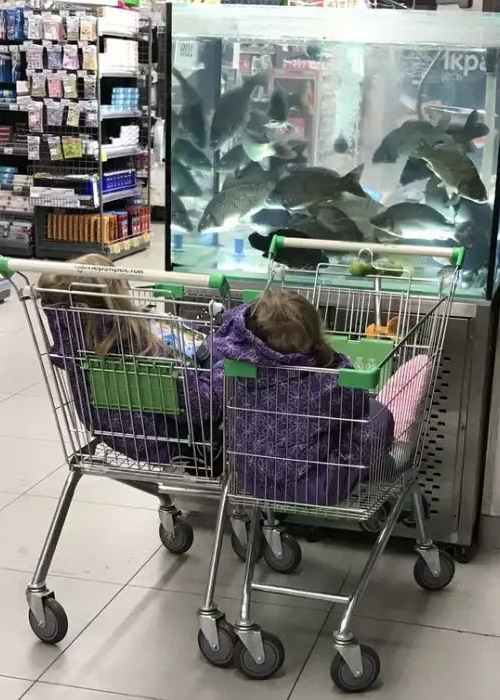 Дети в магазине перед аквариумом
