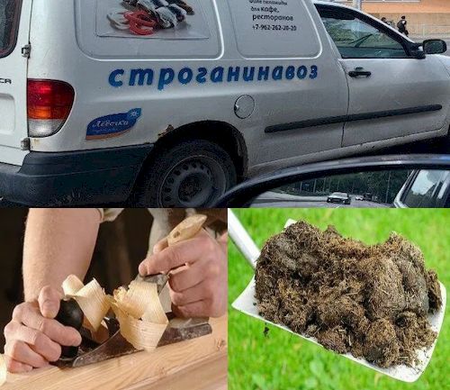 Строганинавоз